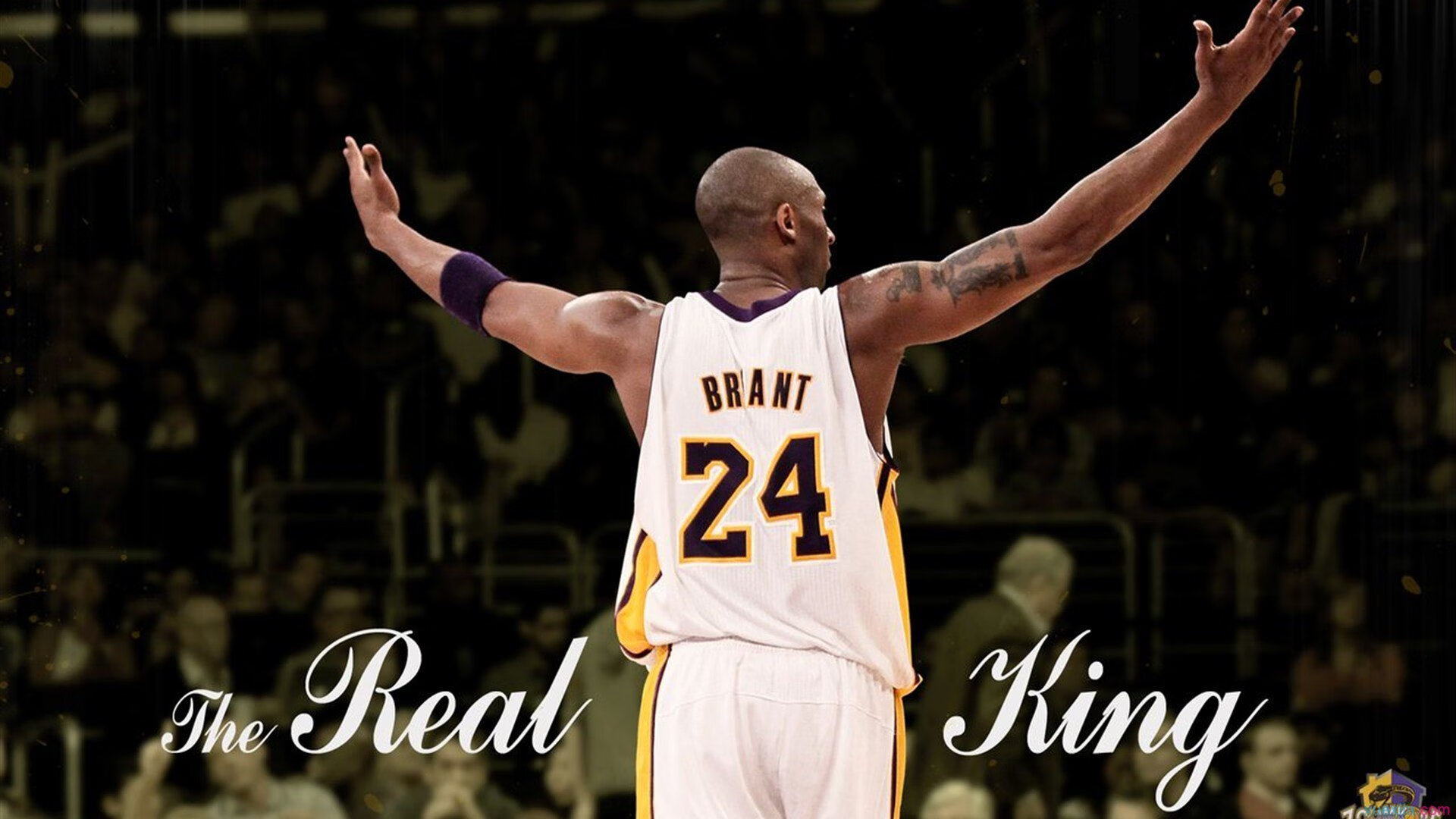 澳网2024,新生代崛起,传奇续写新篇章